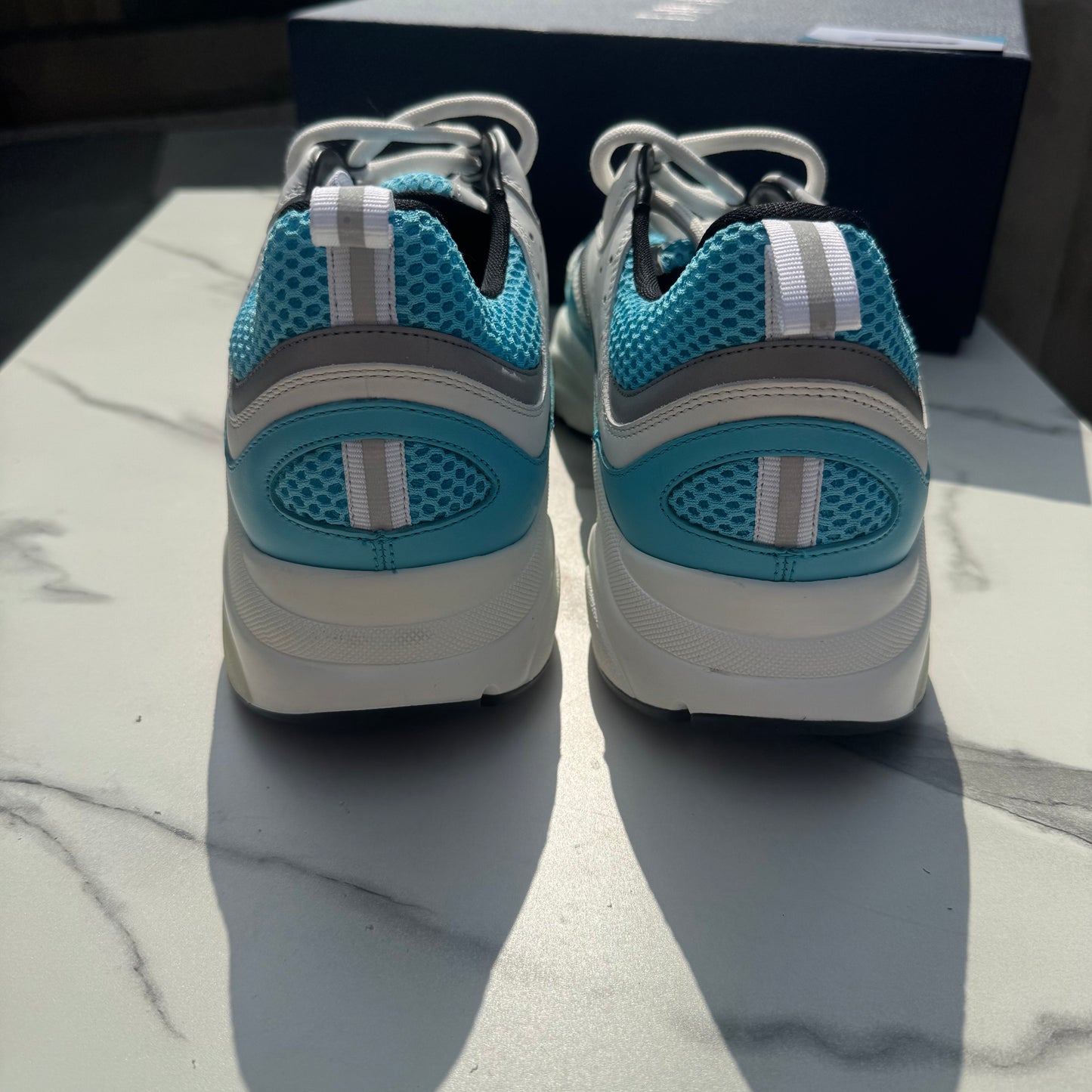 Dior b22 White/Blue