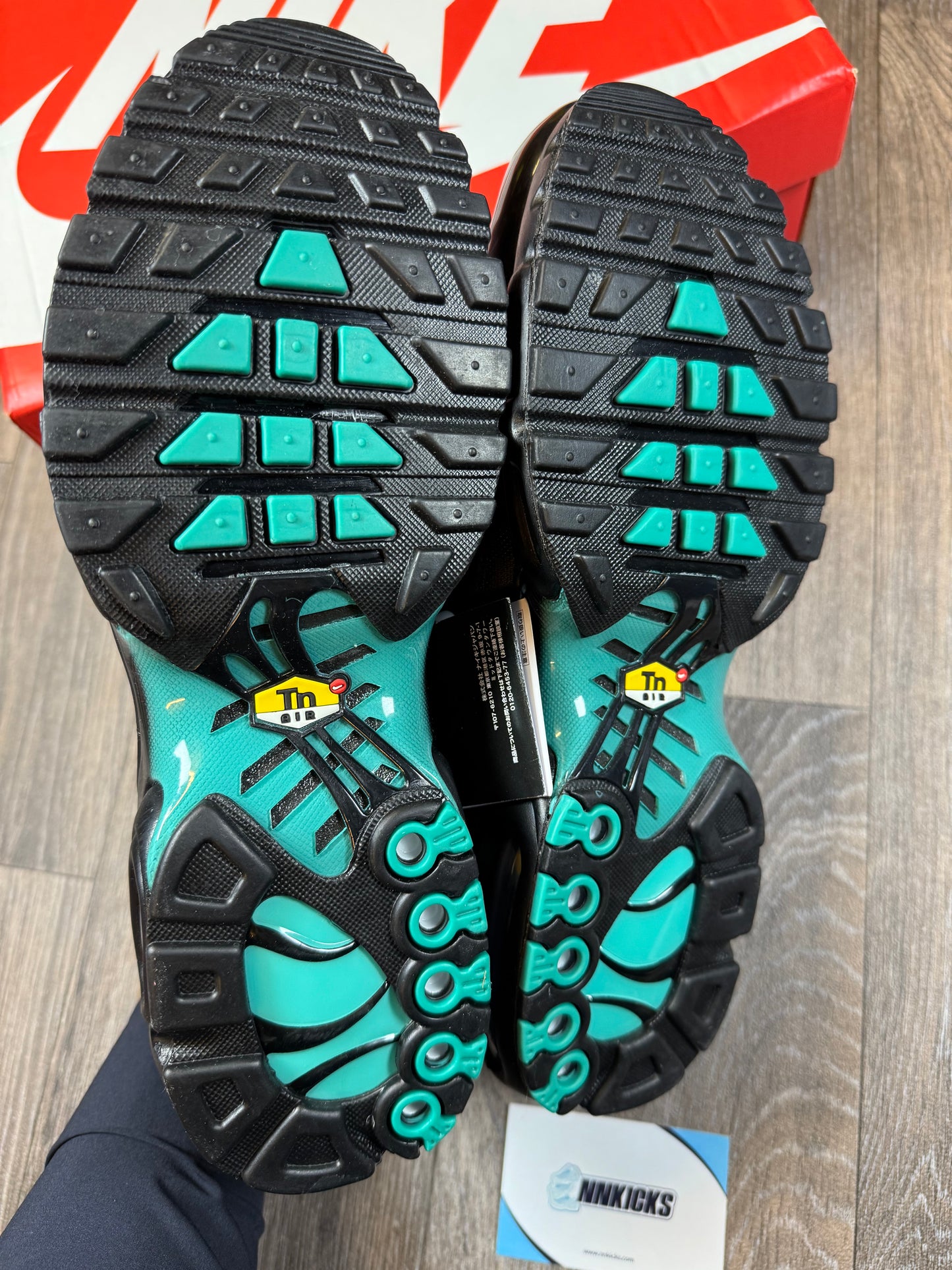 Nike Air max TN Aqua Fade