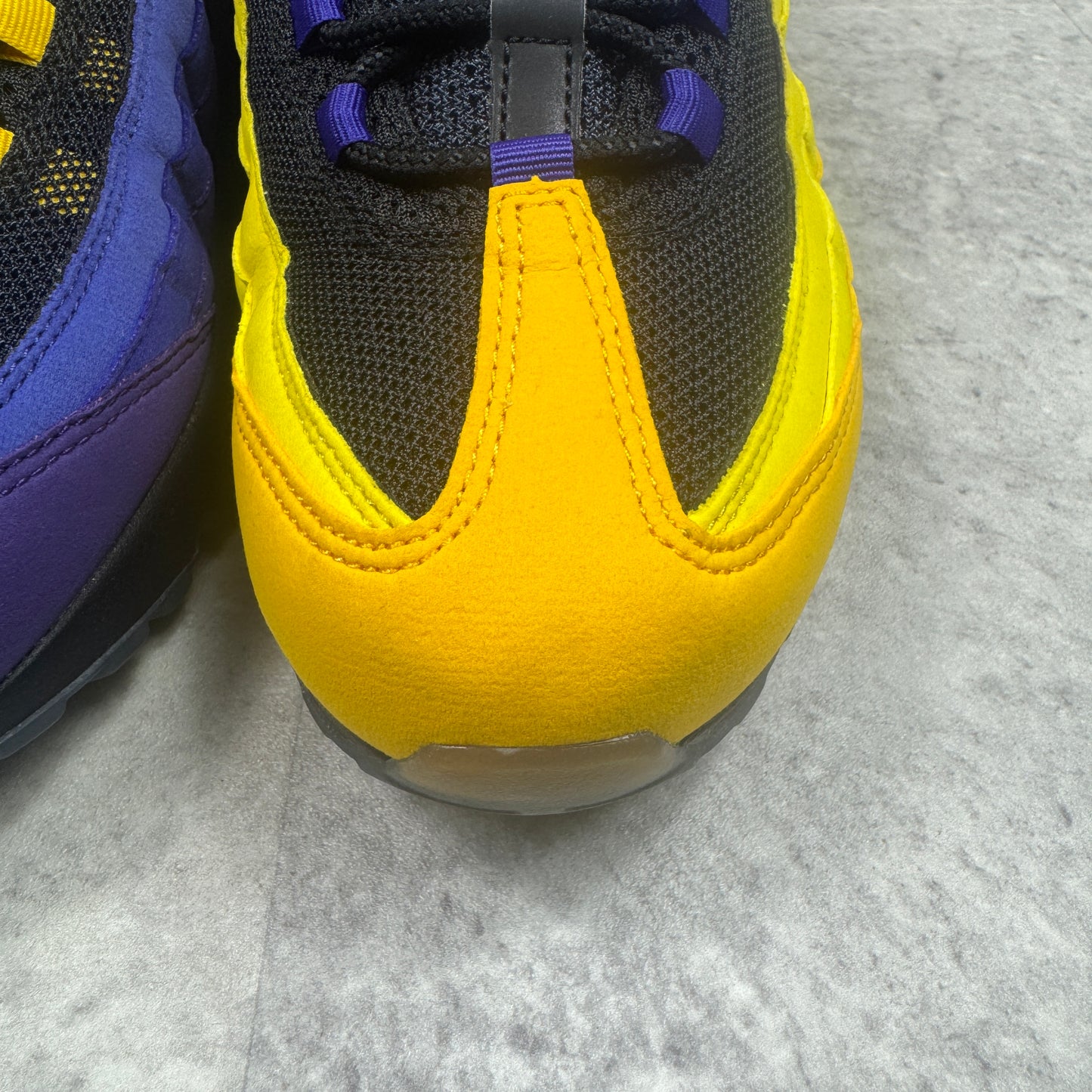 Nike Air Max 95 LeBron