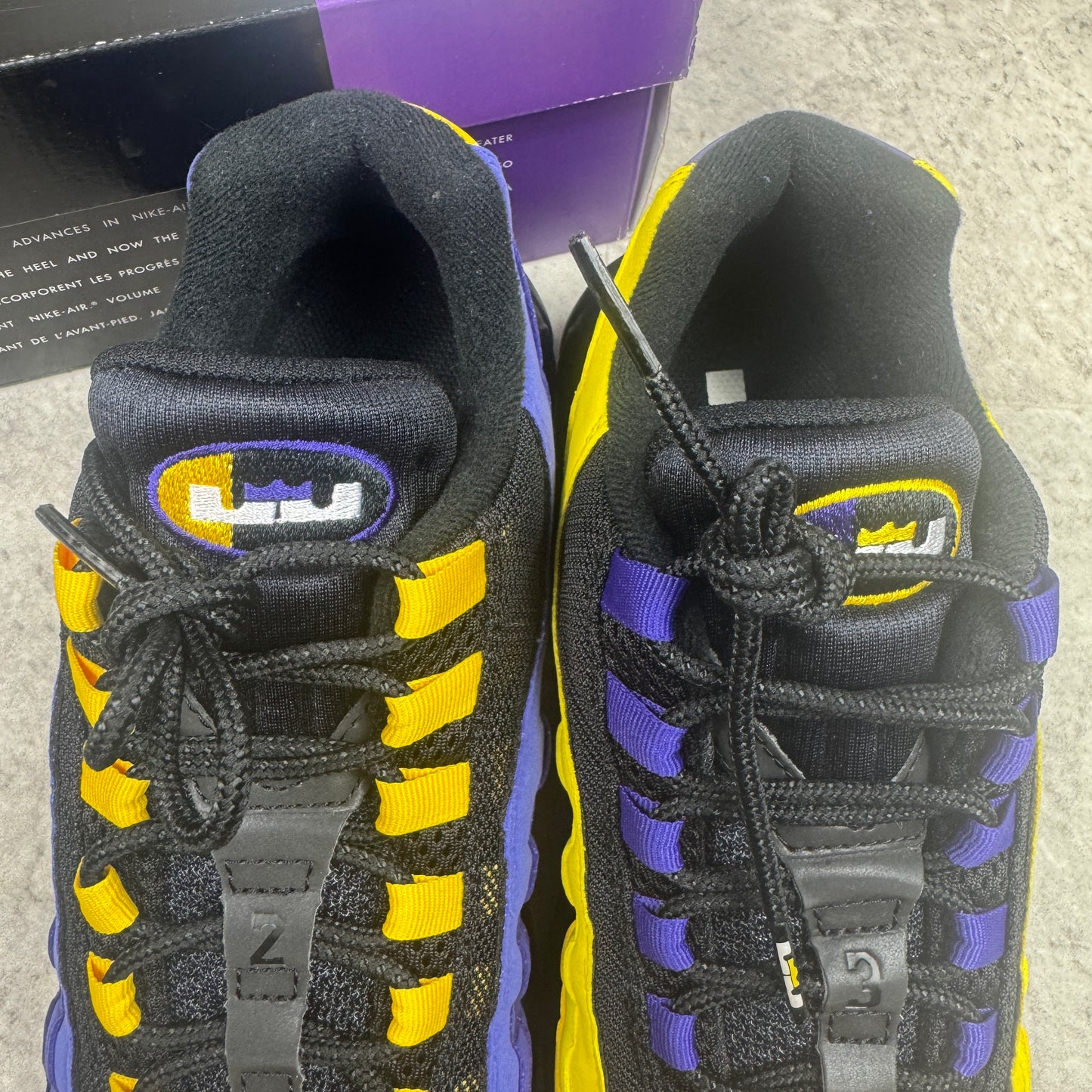 Nike Air Max 95 LeBron