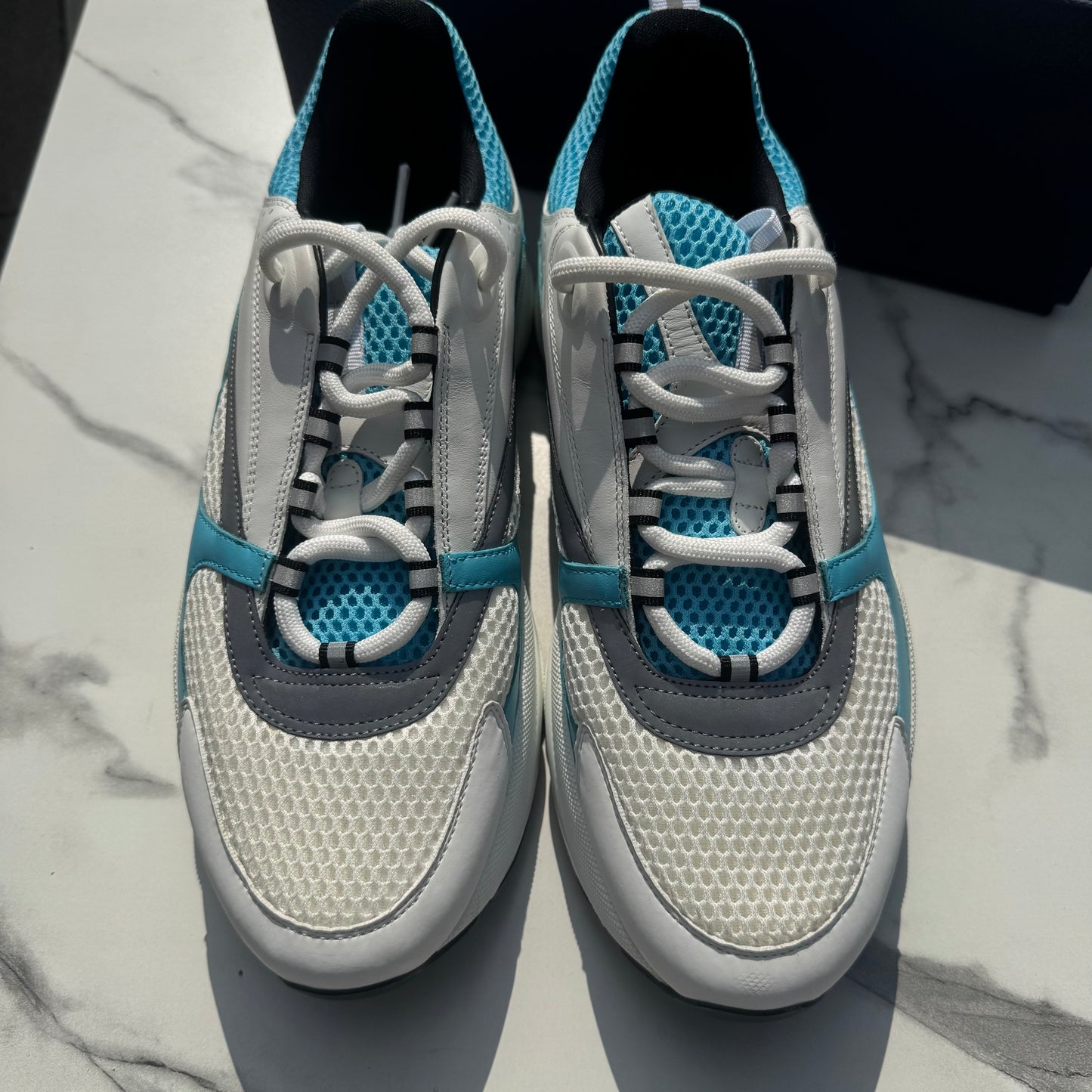 Dior b22 White/Blue