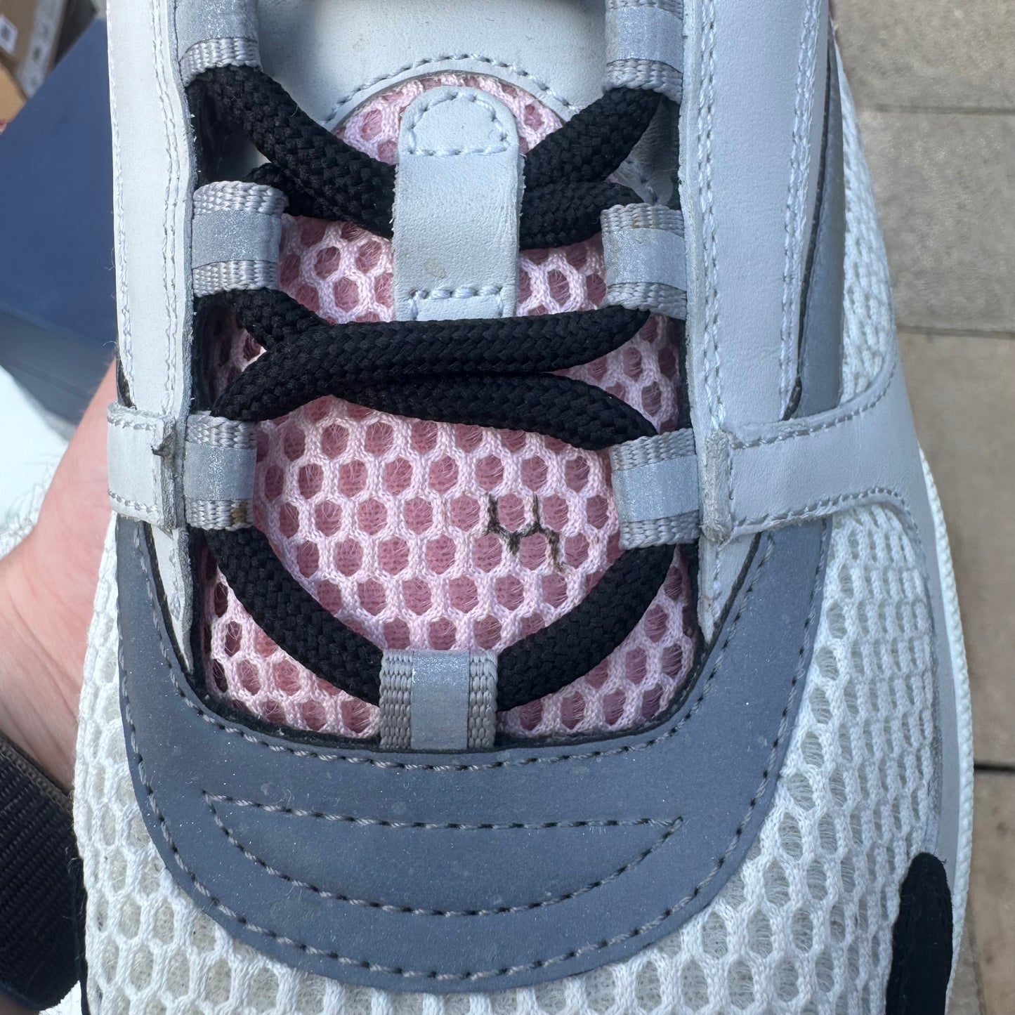 Dior b22 White/Grey/Pink