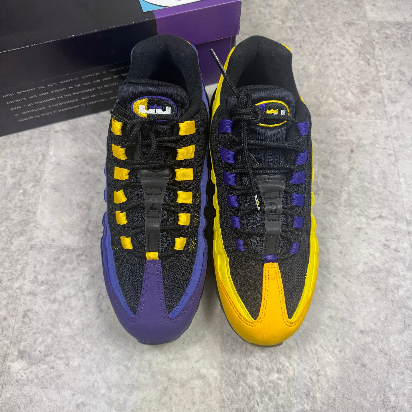 Nike Air Max 95 LeBron