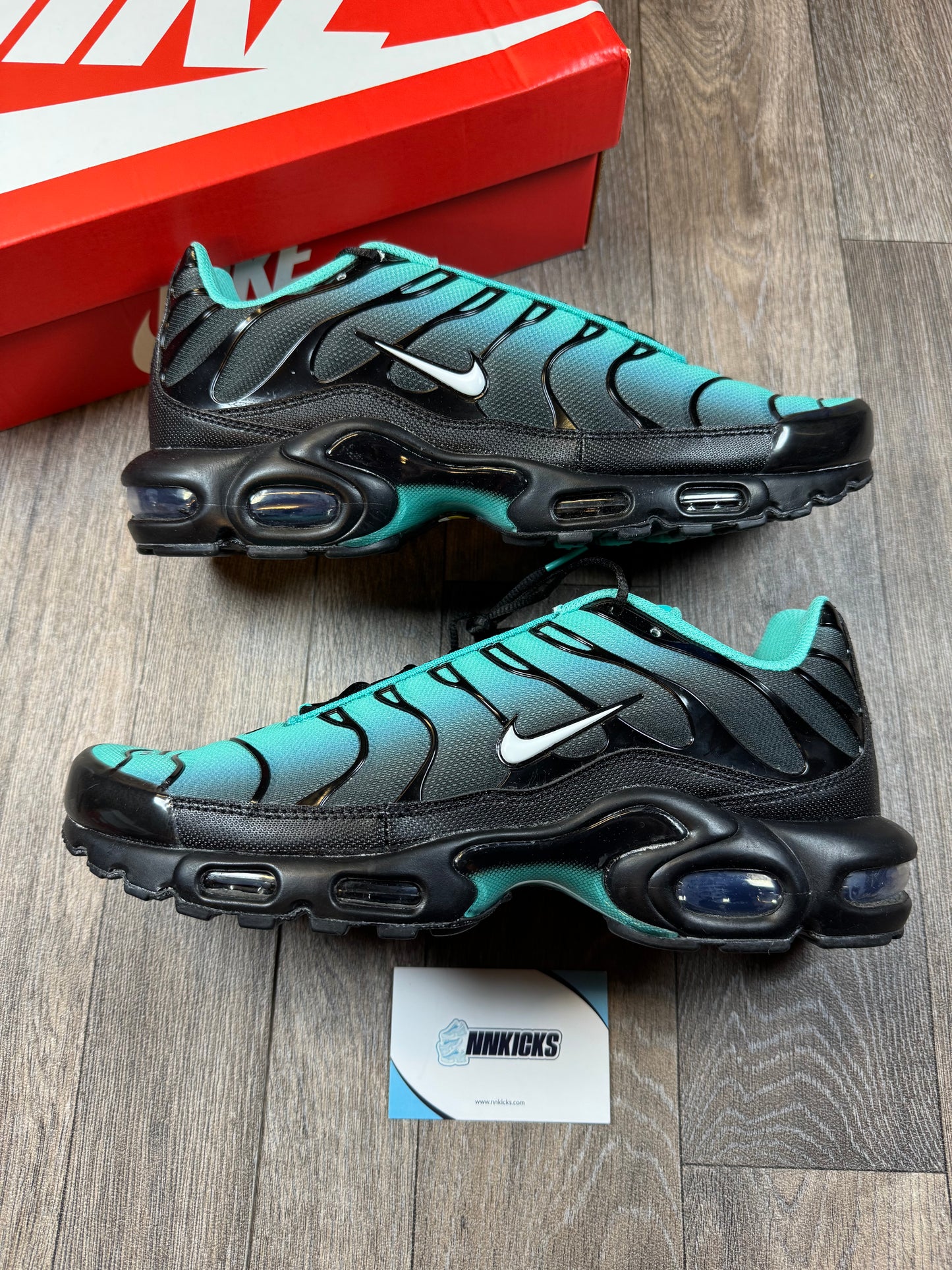 Nike Air max TN Aqua Fade