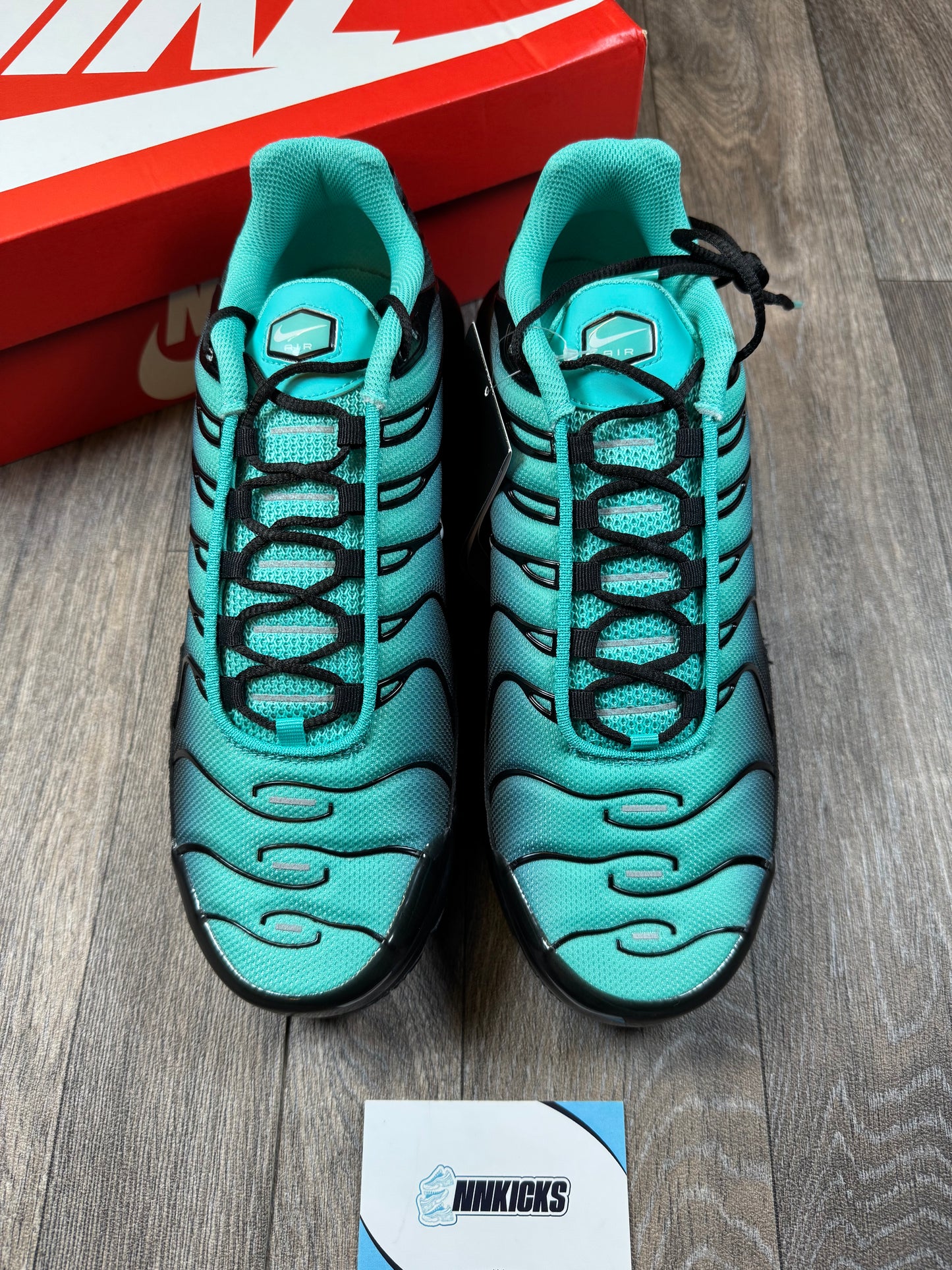 Nike Air max TN Aqua Fade