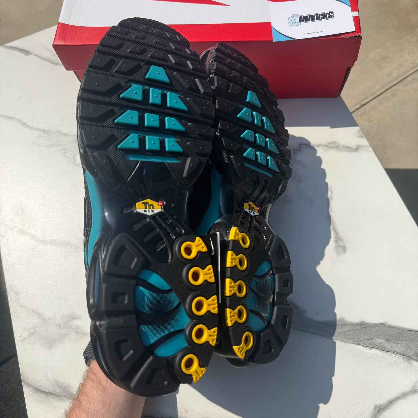 Nike air max plus TN Dusty cactus