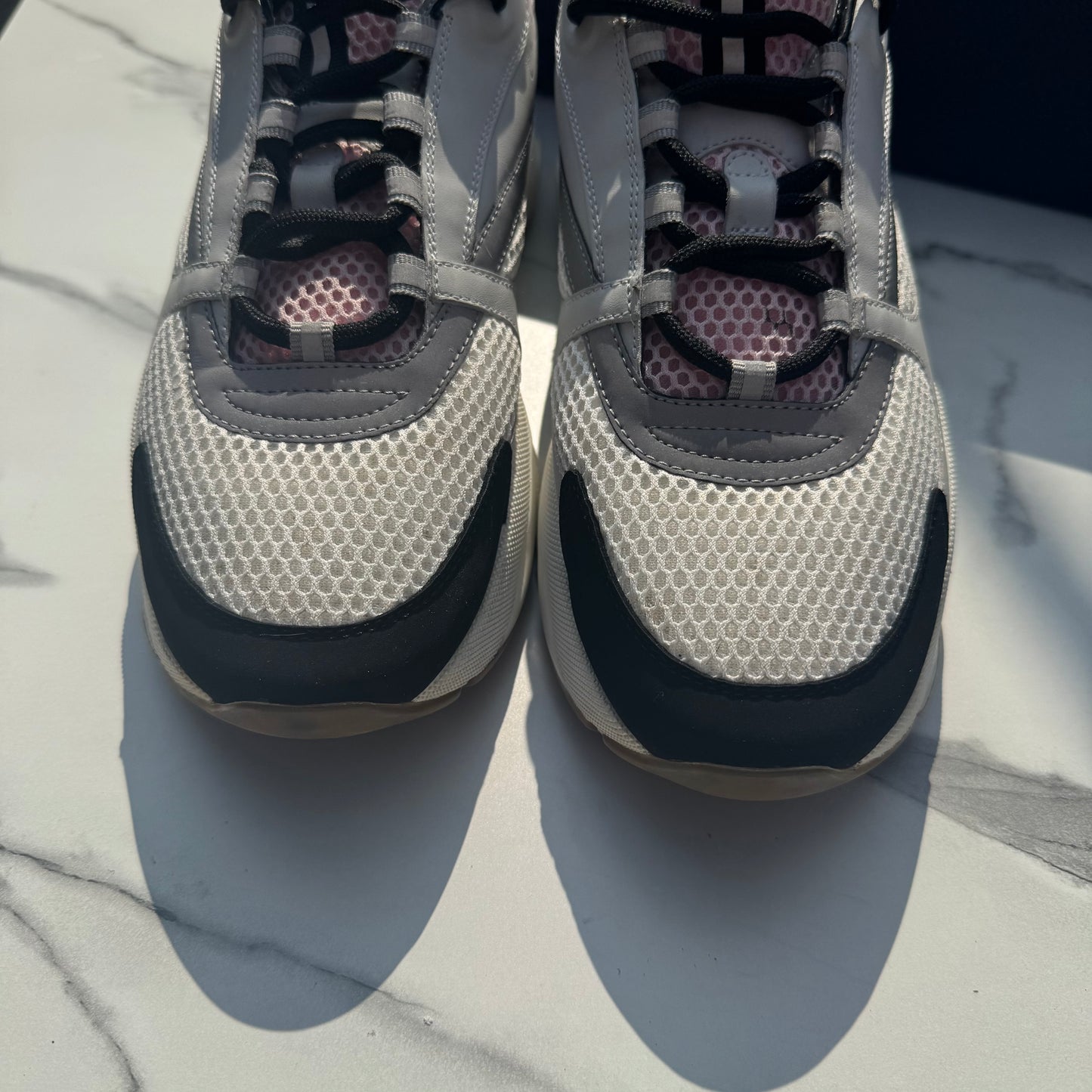 Dior b22 White/Grey/Pink