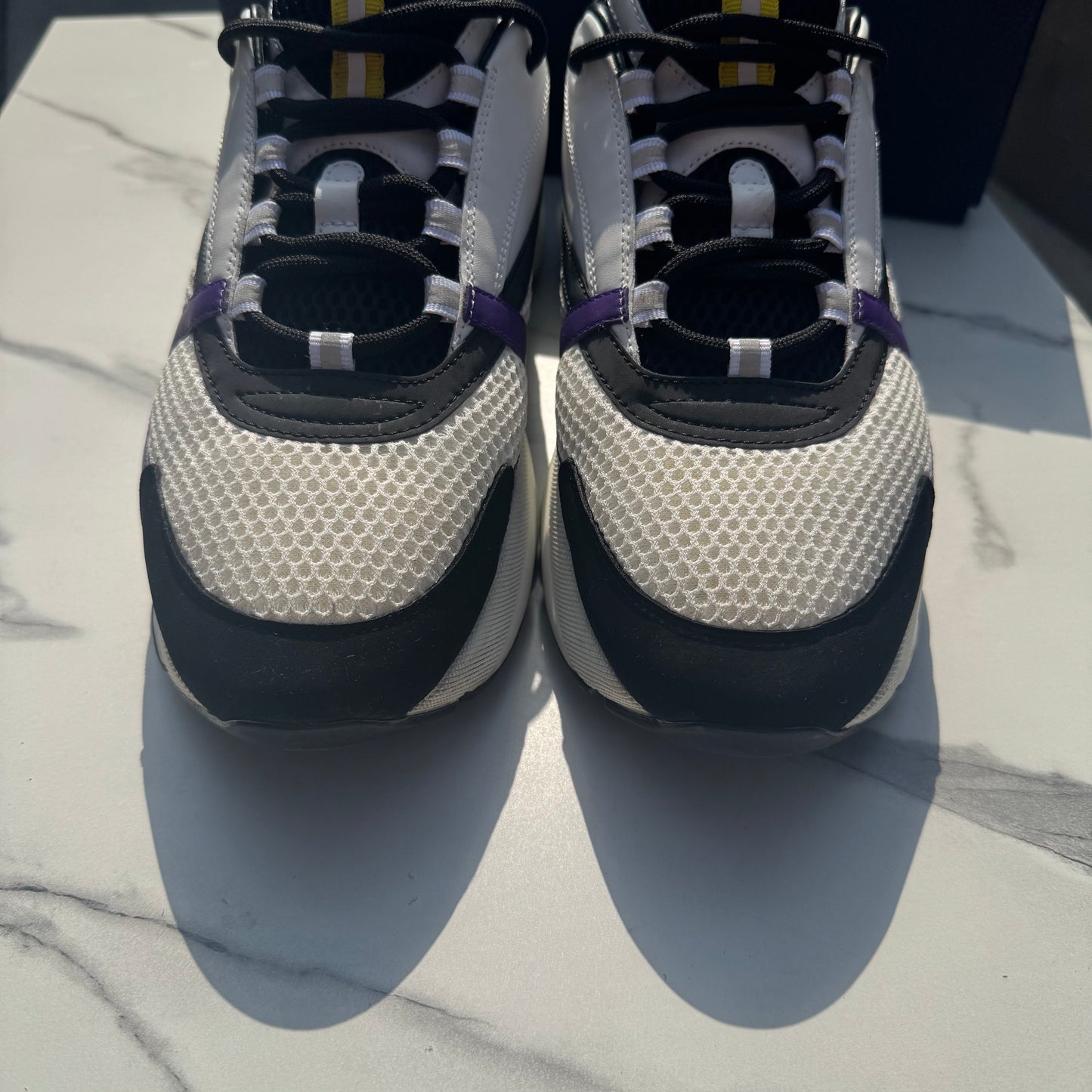 Dior b22 Lakers