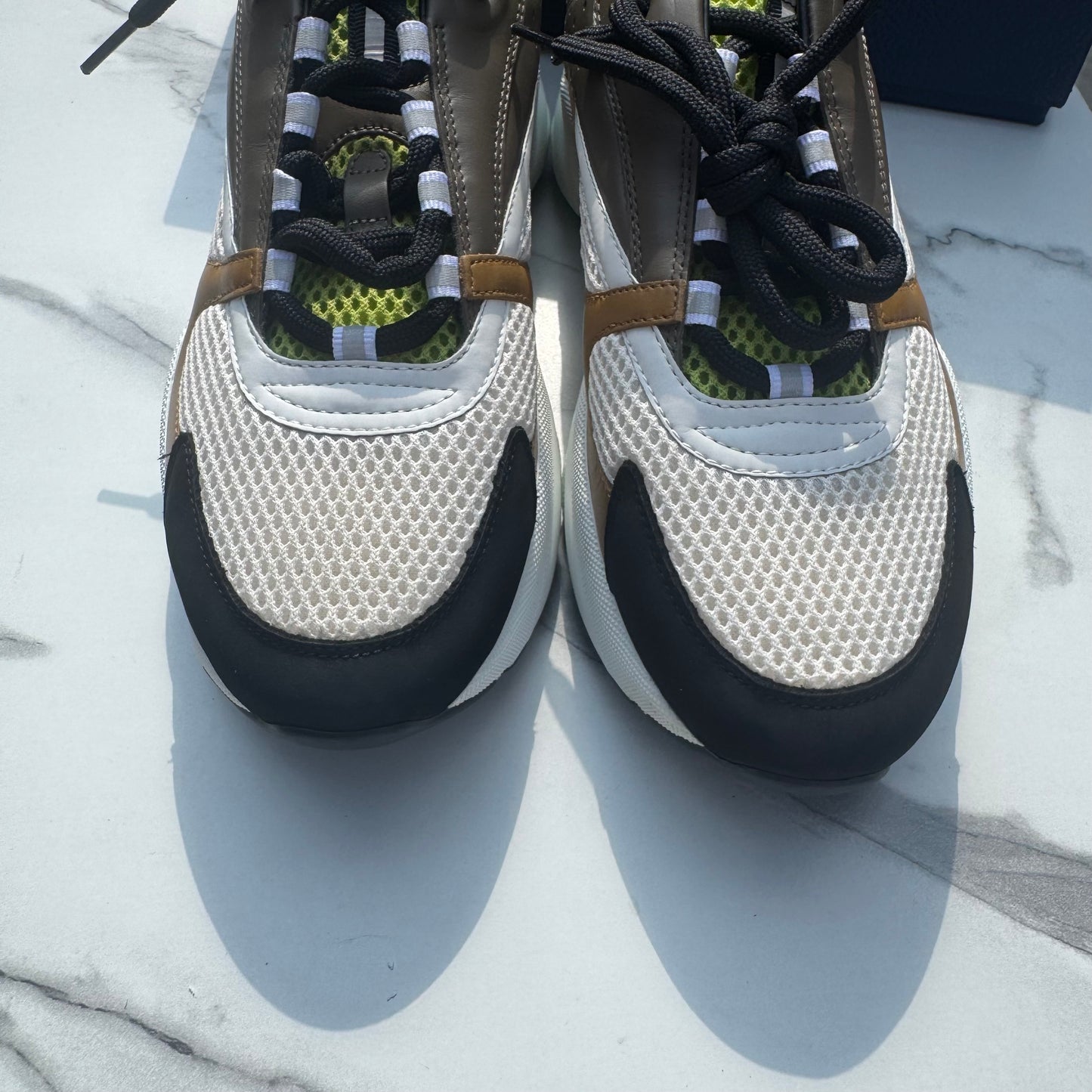 Dior b22 Green/Brown