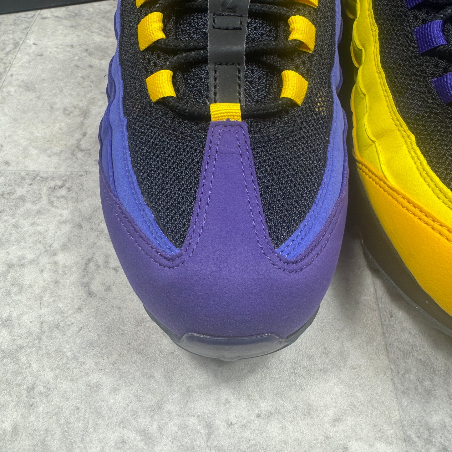 Nike Air Max 95 LeBron