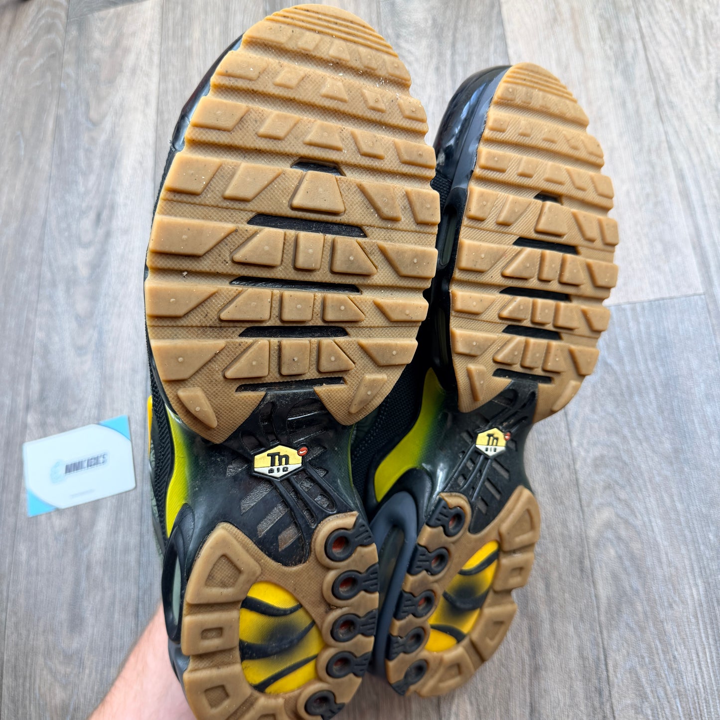 NIKE Air Max Plus TN Fresh Perspective