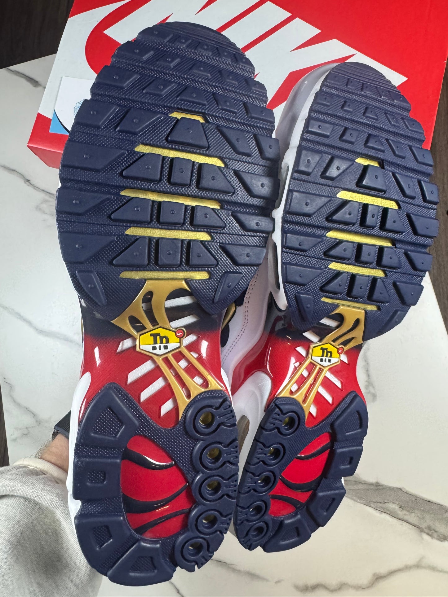 Air max TN PSG