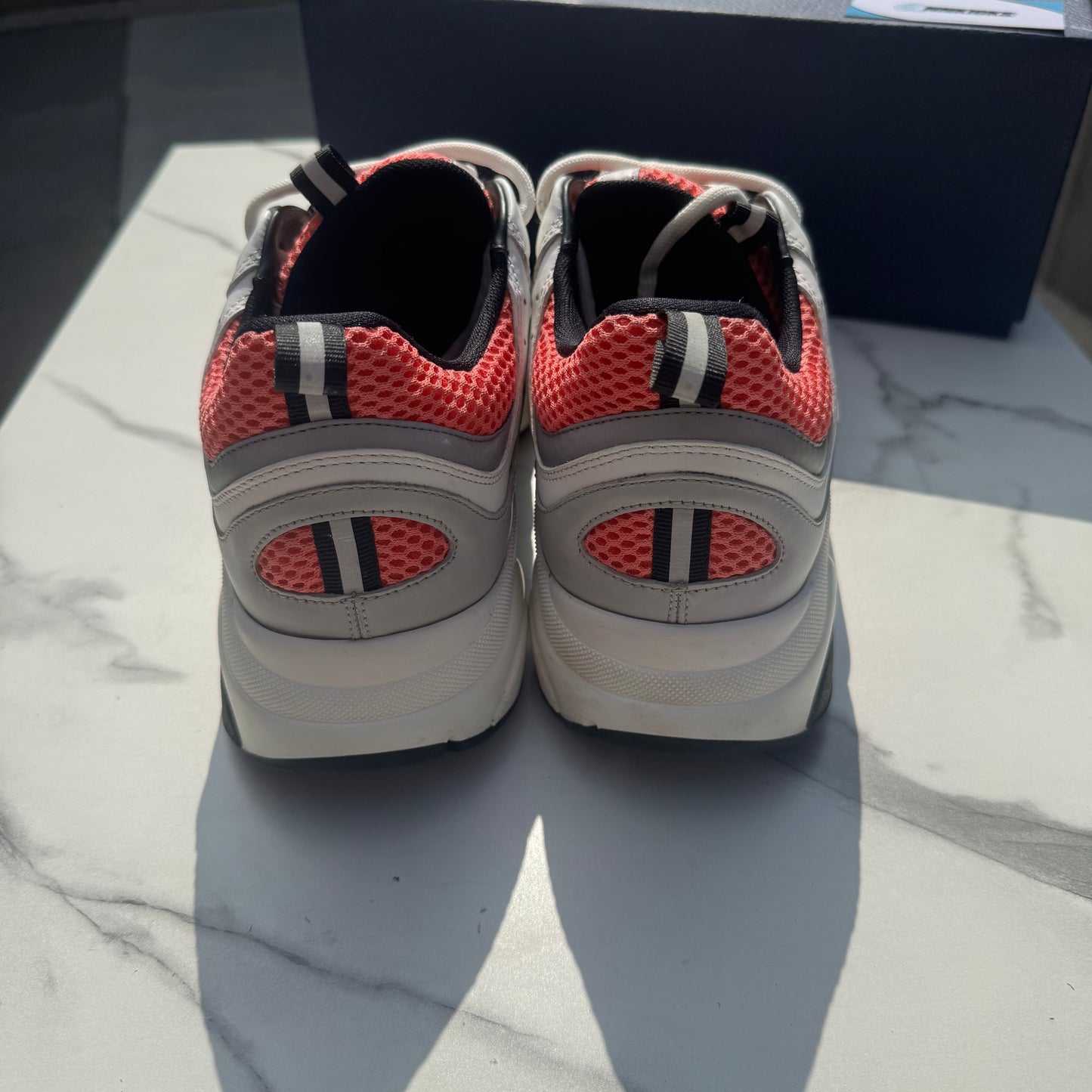 Dior b22 Pink/White