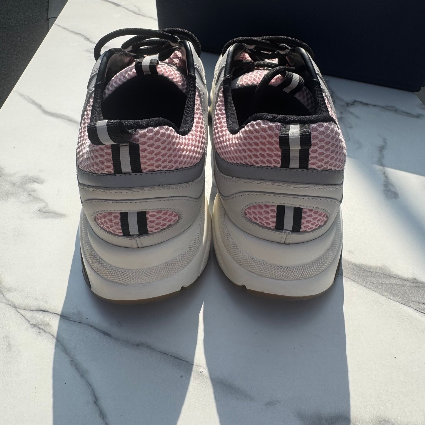 Dior b22 White/Grey/Pink