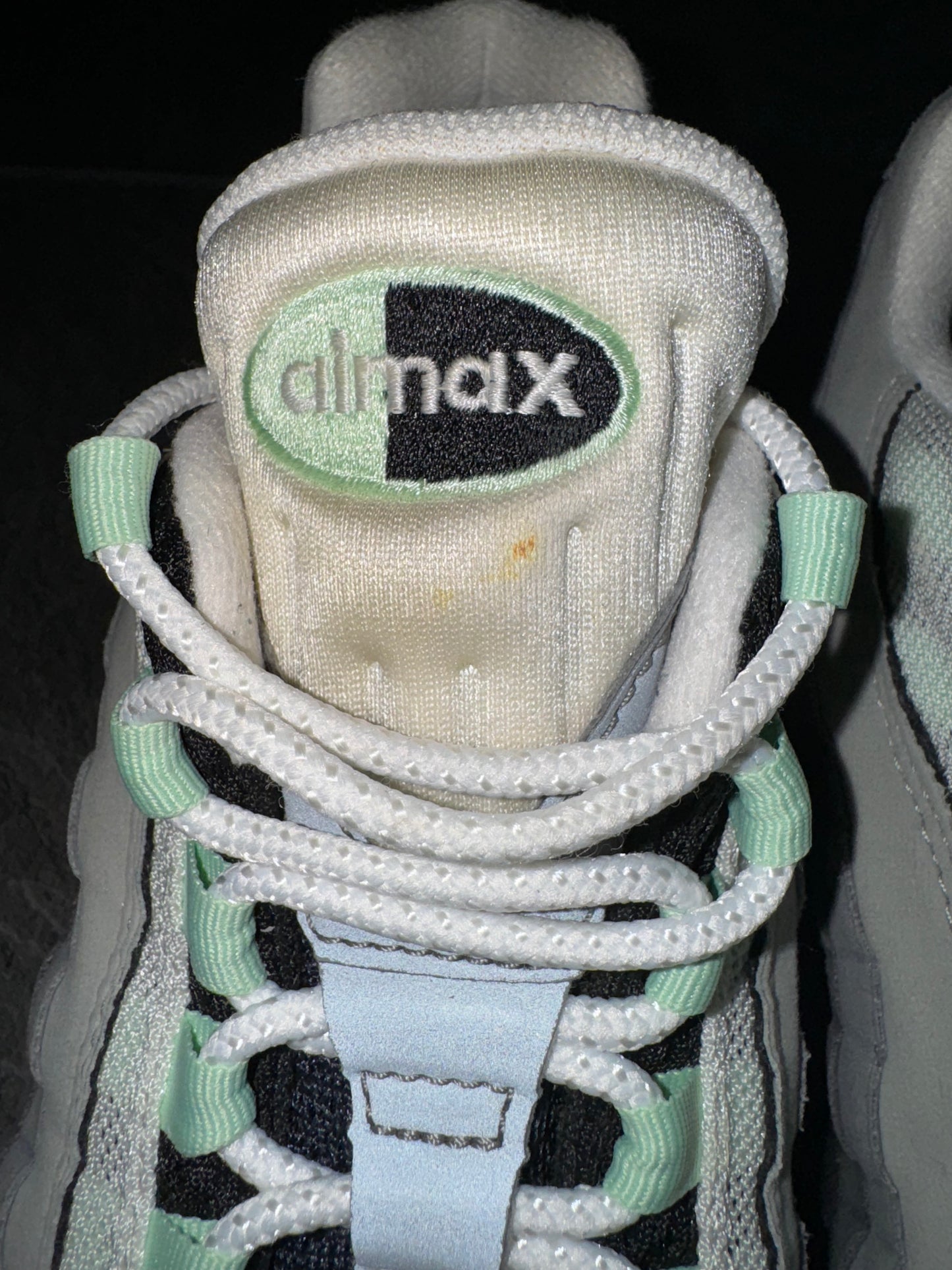 Nike Air Max 95 Fresh Mint