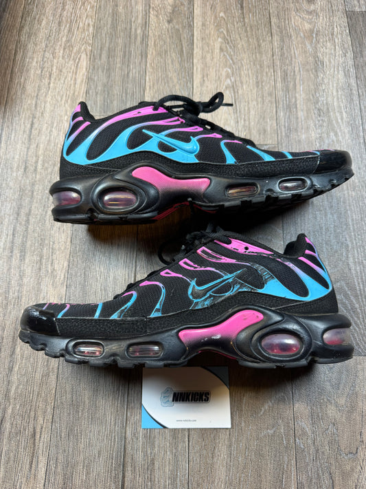 Air max TN Miami