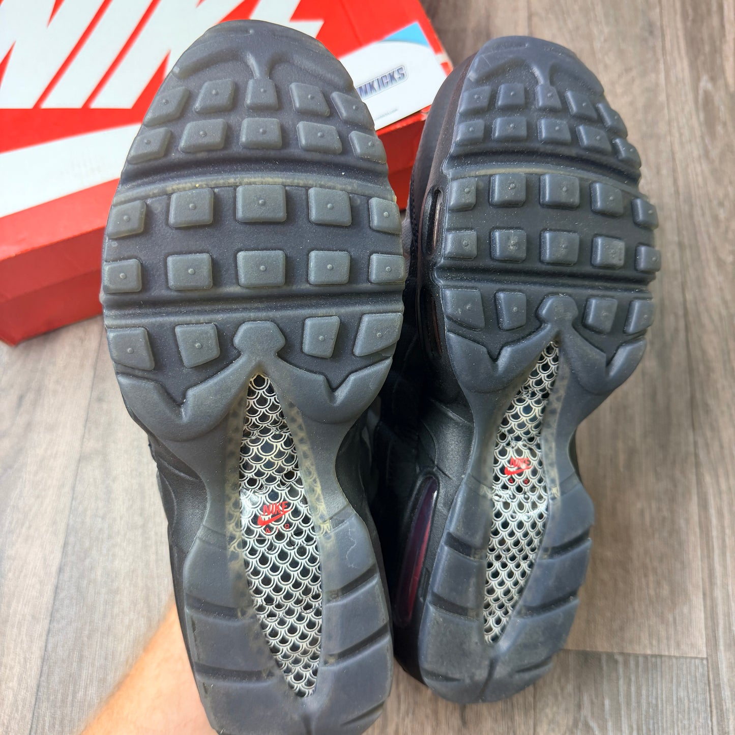 Nike Air Max 95 Fish Scale (KOI)