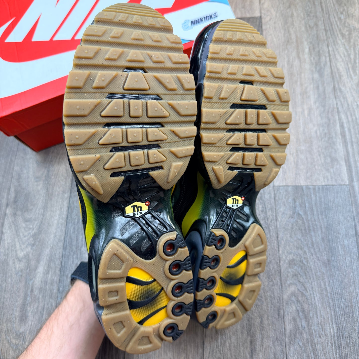 NIKE Air Max Plus TN Fresh Perspective