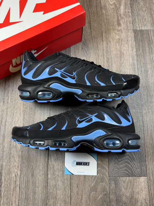 Air max TN University blue