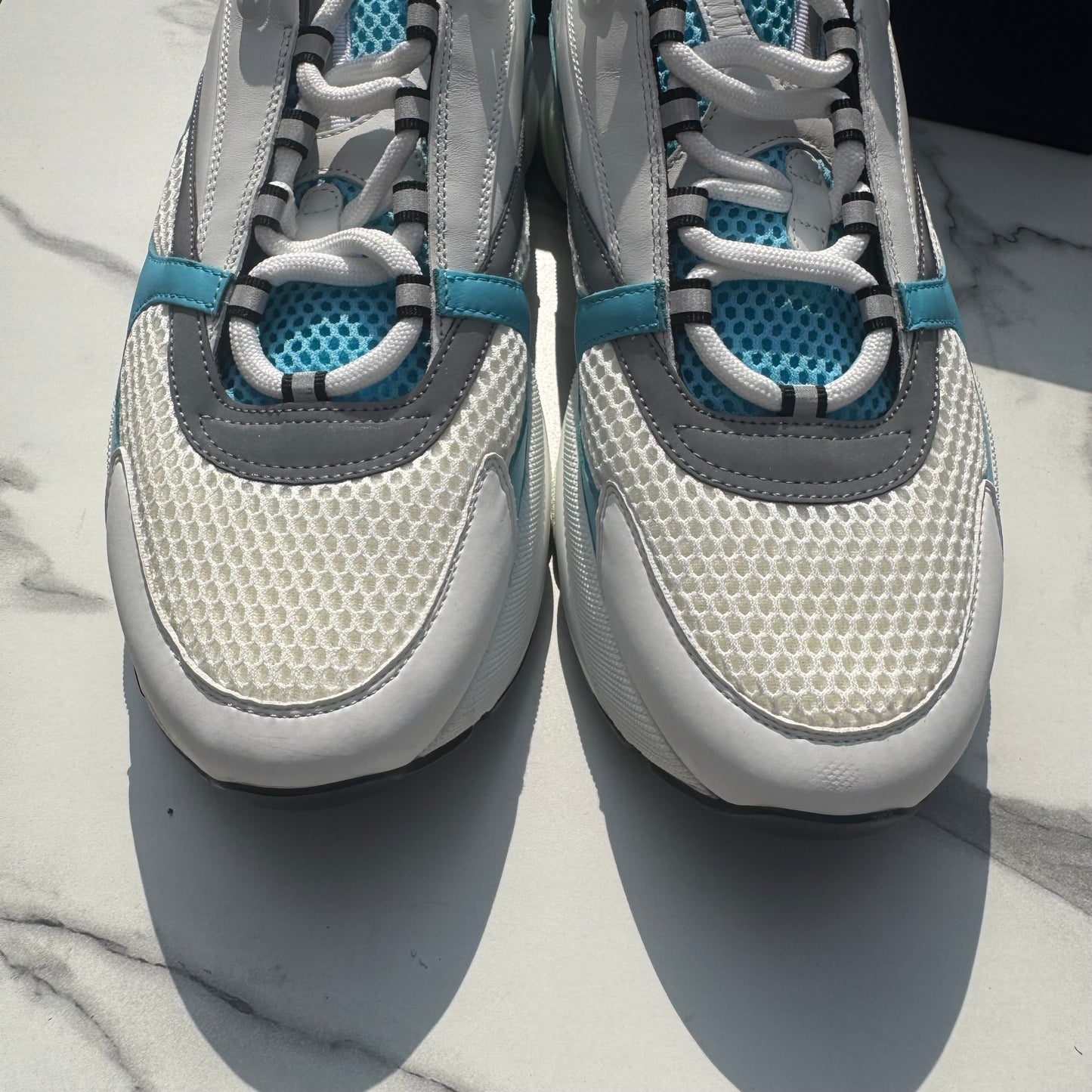 Dior b22 White/Blue