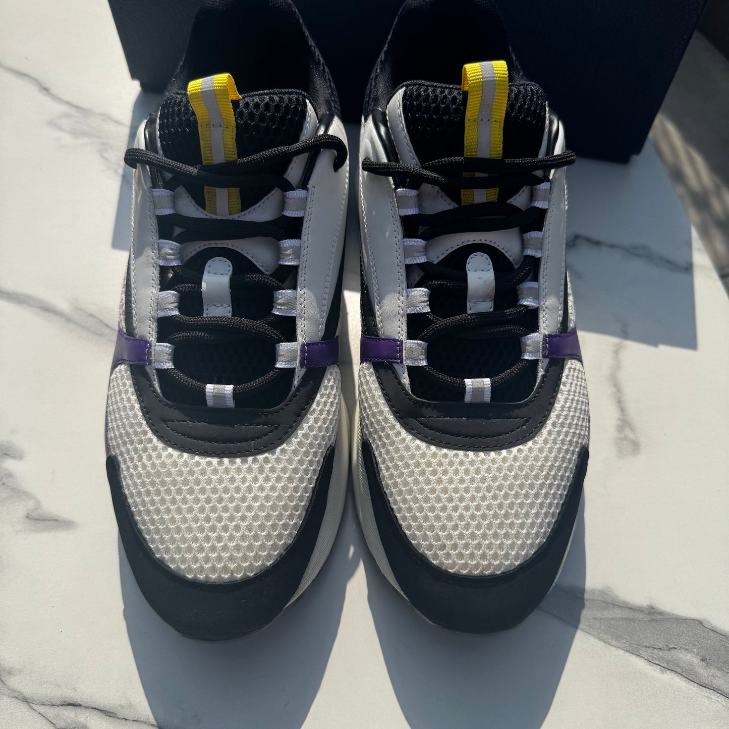 Dior b22 Lakers