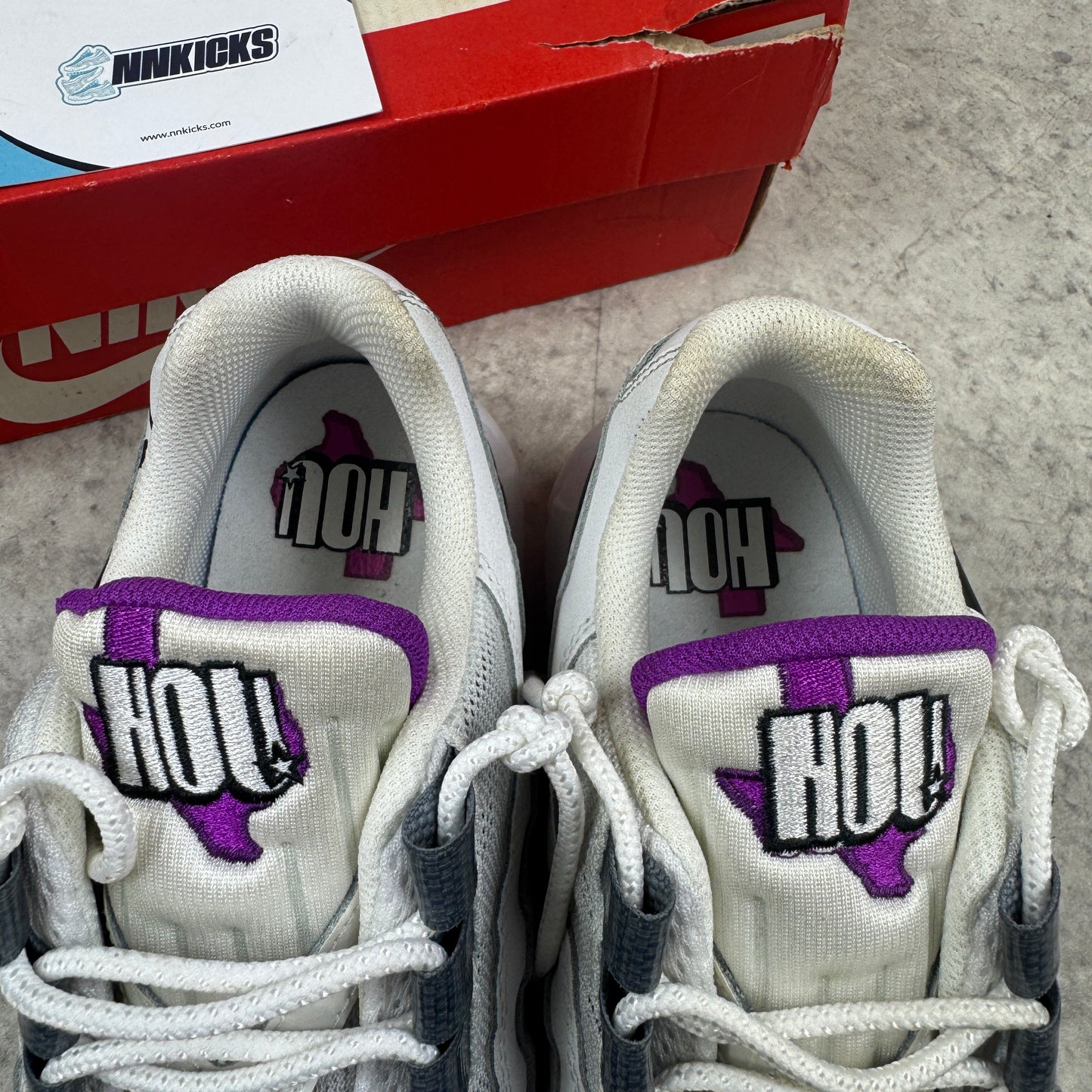 Nike Air Max 95 City Houston Pride