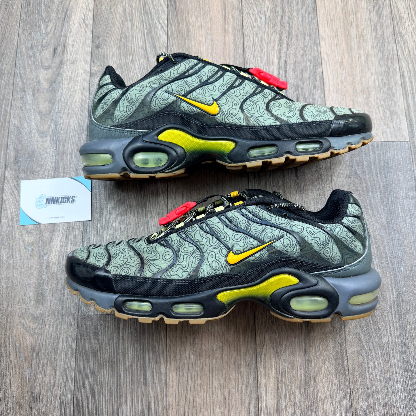 NIKE Air Max Plus TN Fresh Perspective